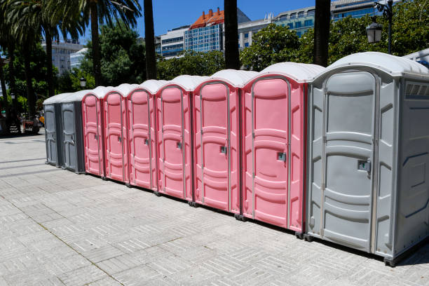 Best Portable Toilets with Baby Changing Stations  in Ayden, NC
